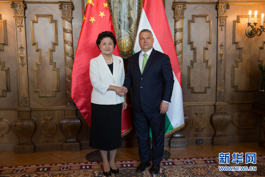  6月21日，國務(wù)院副總理劉延?xùn)|（左）在匈牙利布達(dá)佩斯國會大廈會見匈牙利總理歐爾班。 新華社發(fā)（弗爾季·奧蒂洛攝）