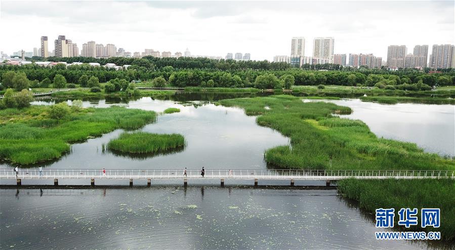 （走向我們的小康生活·圖文互動(dòng)）（1）水清、地綠、空氣新——最北省份黑龍江繪就生態(tài)治理新畫卷