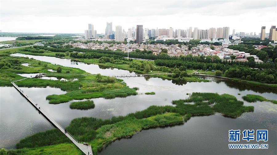 （走向我們的小康生活·圖文互動(dòng)）（2）水清、地綠、空氣新——最北省份黑龍江繪就生態(tài)治理新畫卷