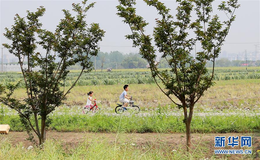 （新華全媒頭條·走向我們的小康生活·圖文互動）（14）城市，讓人民生活更美好