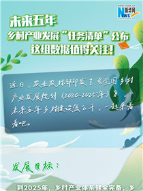 未來(lái)五年鄉(xiāng)村產(chǎn)業(yè)發(fā)展“任務(wù)清單”公布 這組數(shù)據(jù)值得關(guān)注！
