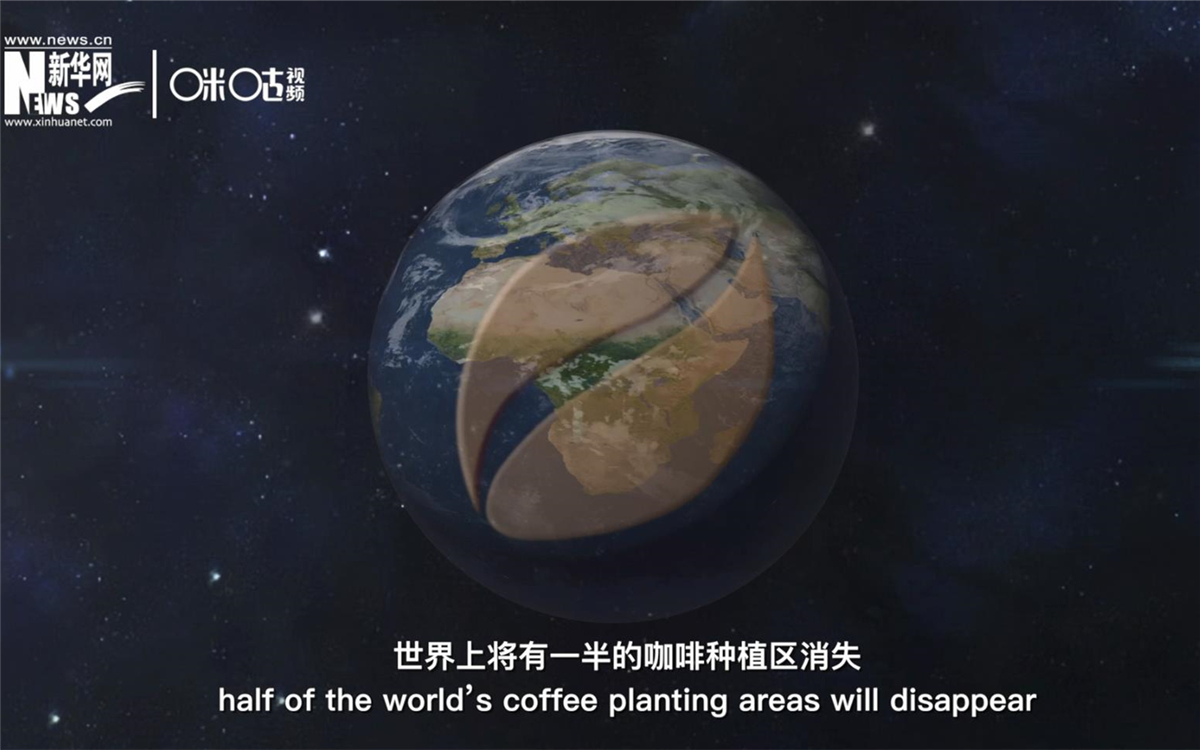 科學(xué)家預(yù)測(cè)到三十年后，世界上將有一半的咖啡種植區(qū)消失