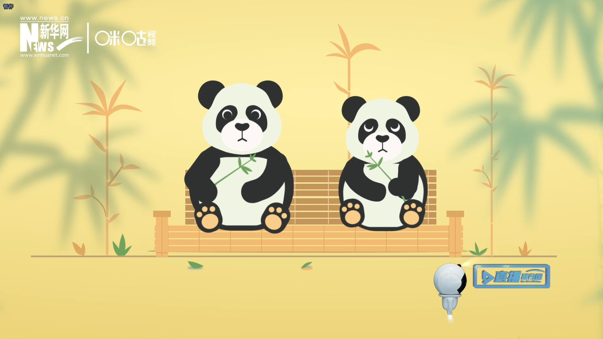 “哥哥你看，又有人來看我們了。”“有什么奇怪的，我們可是聯(lián)合國‘最萌’的大使?。?rdquo;。