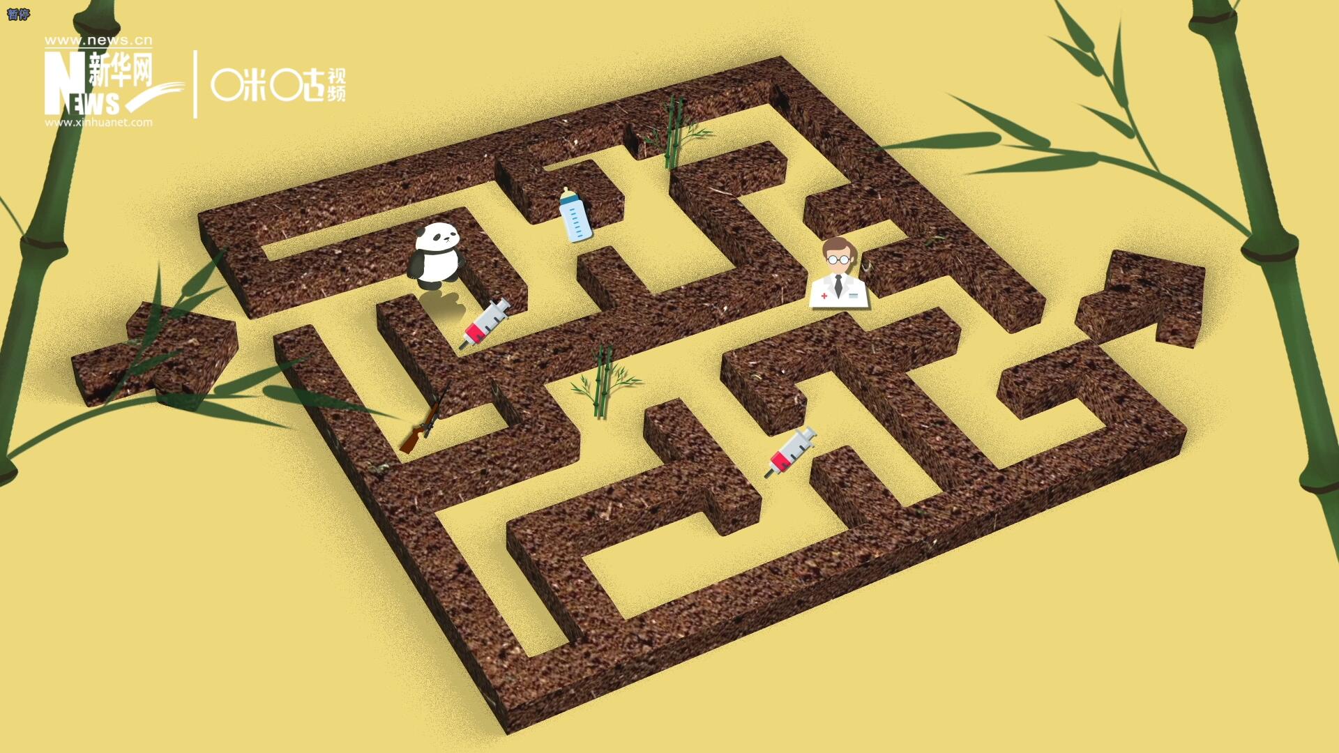 2016年，國際自然保護(hù)聯(lián)盟將大熊貓的物種瀕危等級，從“瀕危”下降到了“易危”。