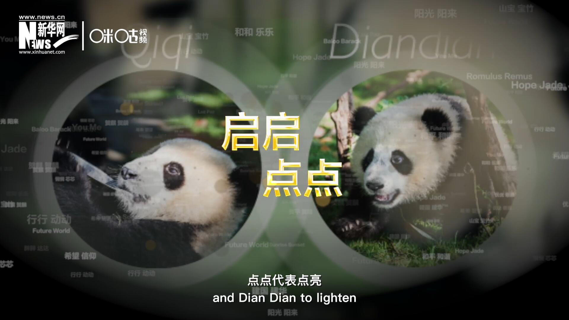 啟啟代表“啟發(fā)”，點(diǎn)點(diǎn)代表“點(diǎn)亮”，象征著2030年可持續(xù)發(fā)展議程 的“起點(diǎn)”，也象征著全球可持續(xù)發(fā)展路徑的新起點(diǎn)。