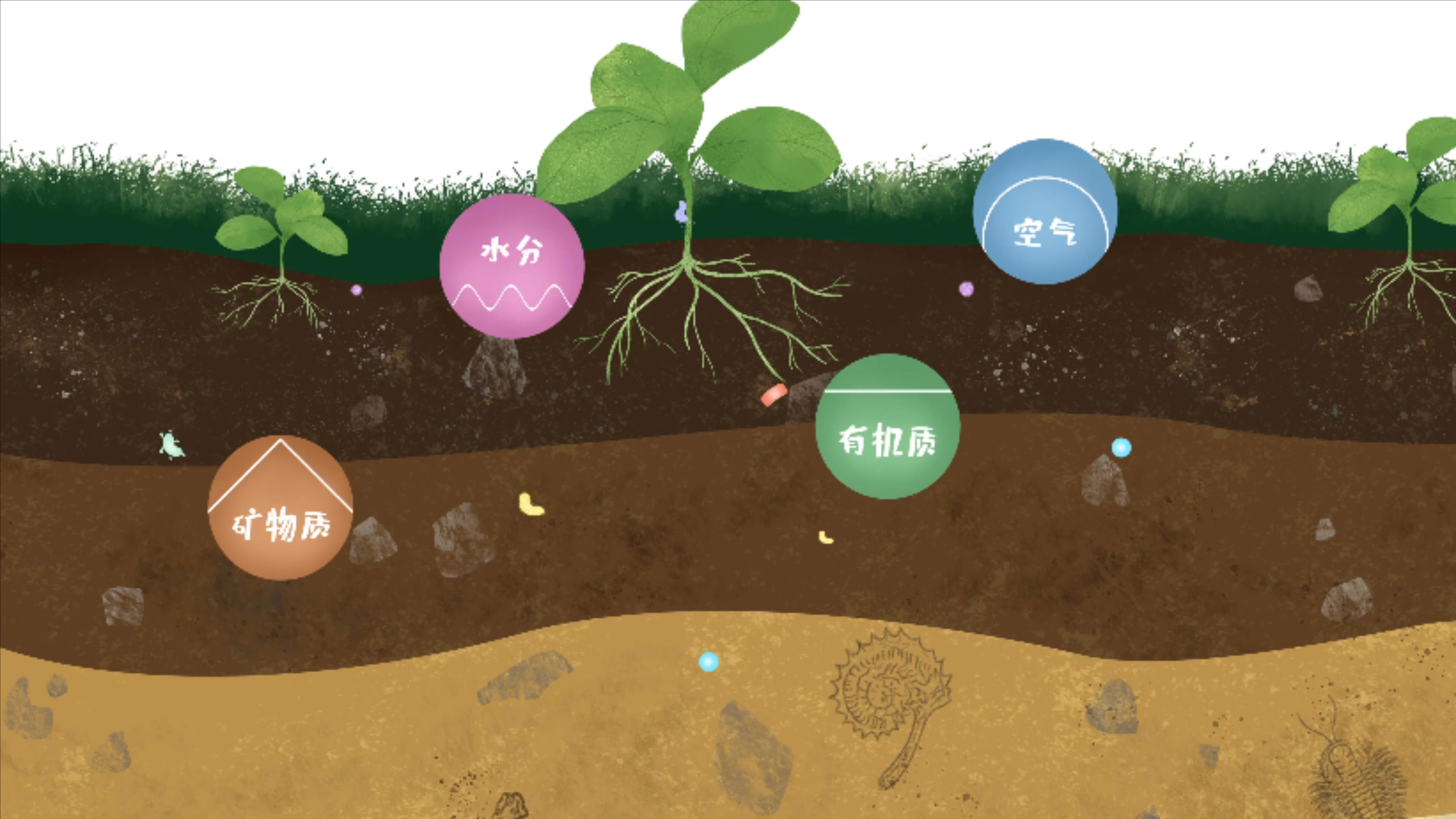 土壤由礦物質(zhì)、有機(jī)質(zhì)、水分、空氣及包括微生物在內(nèi)的生物體等組成