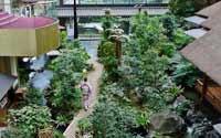 震撼！日本最豪華的廁所（組圖）