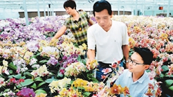 臺(tái)商眼中的改革開放：風(fēng)景這邊獨(dú)好 要去，要去，要去！
