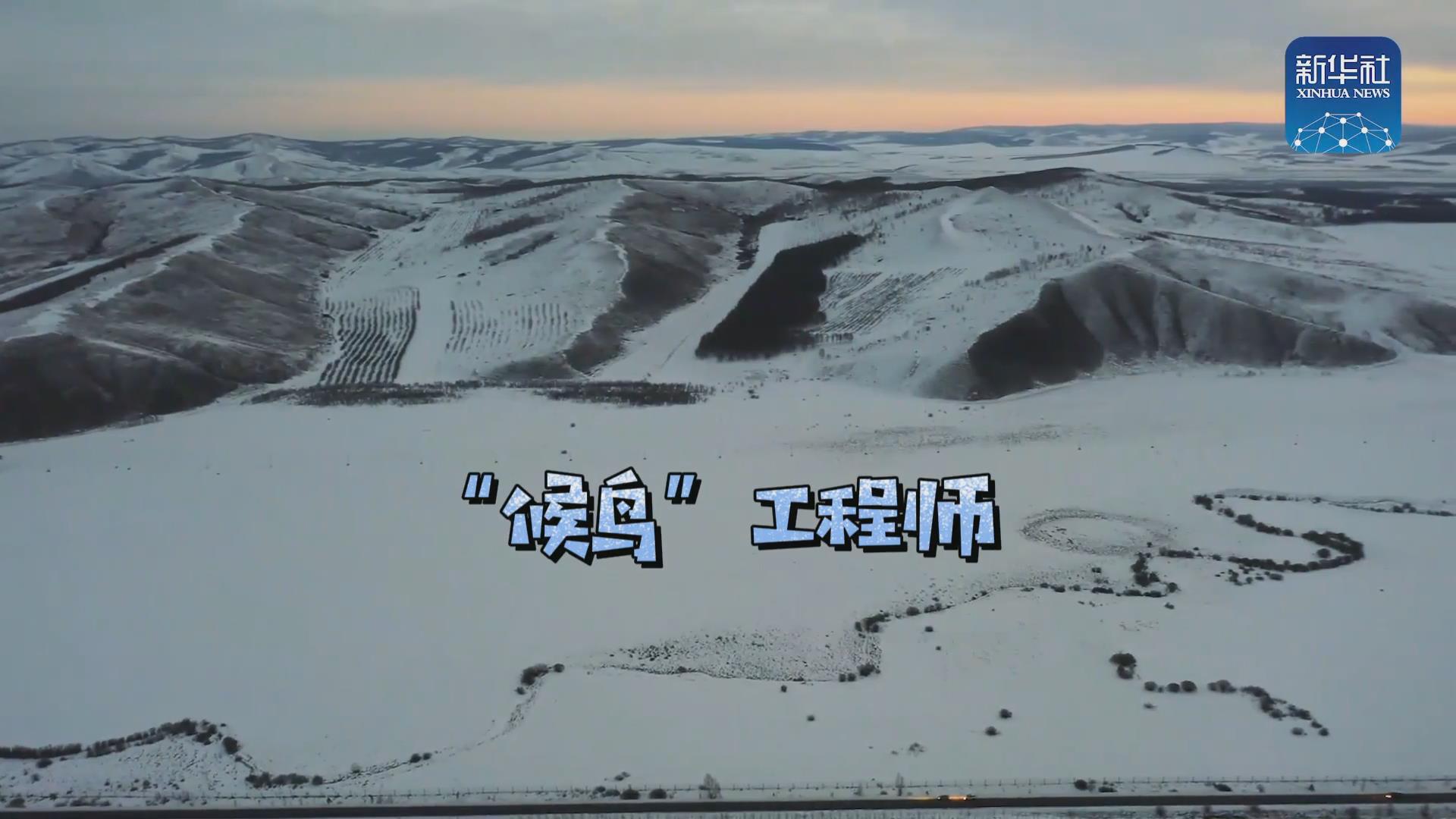 我們在奔跑丨一路向北！他是逆行的“候鳥”