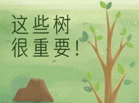 這些樹很重要！